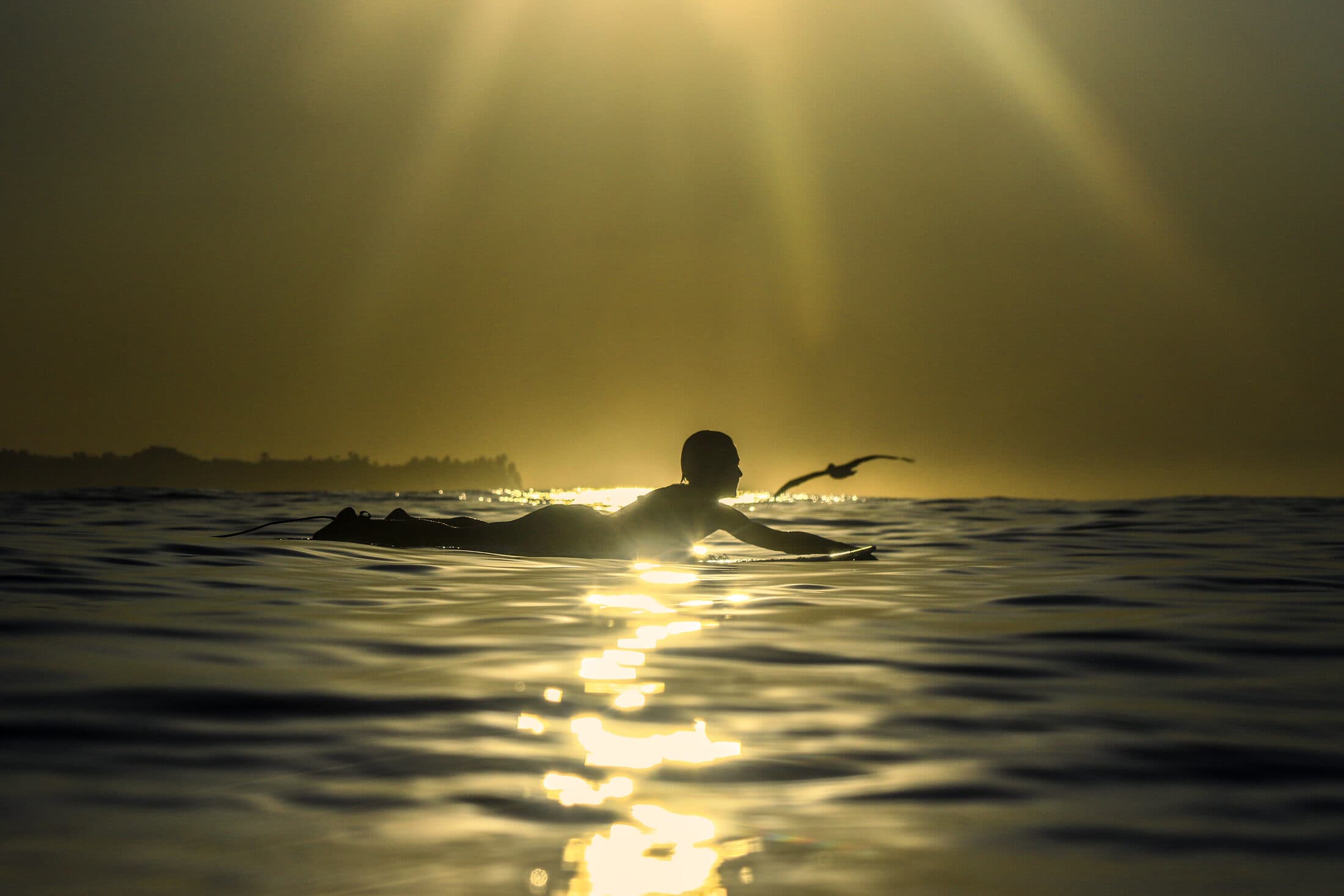 Surfer paddling out during a live lesson at Surf City